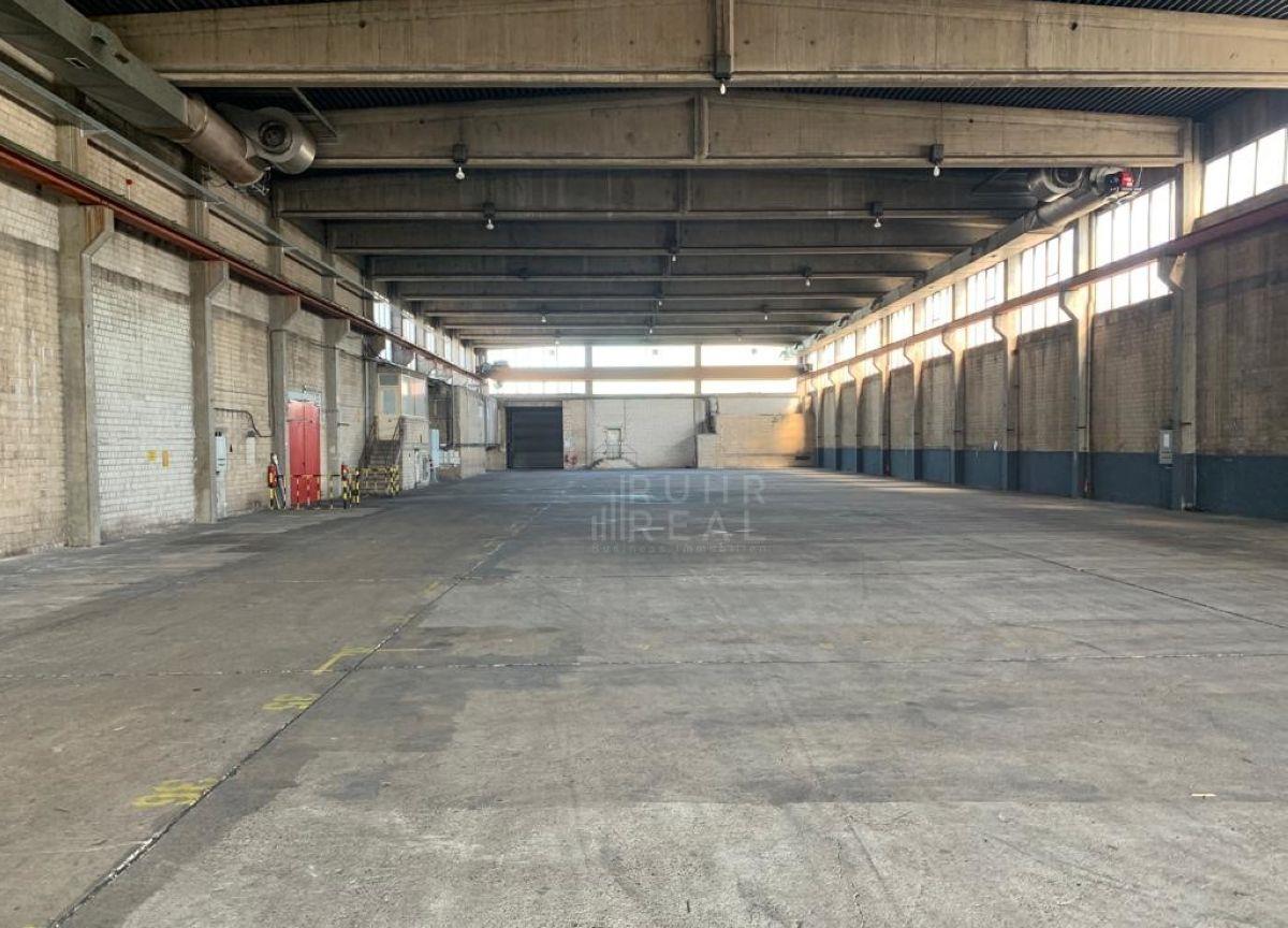 Ansicht Halle