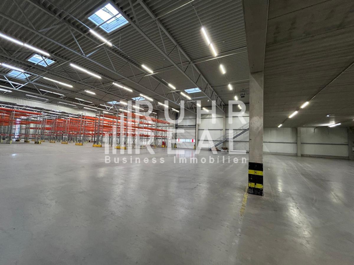 Halle 2