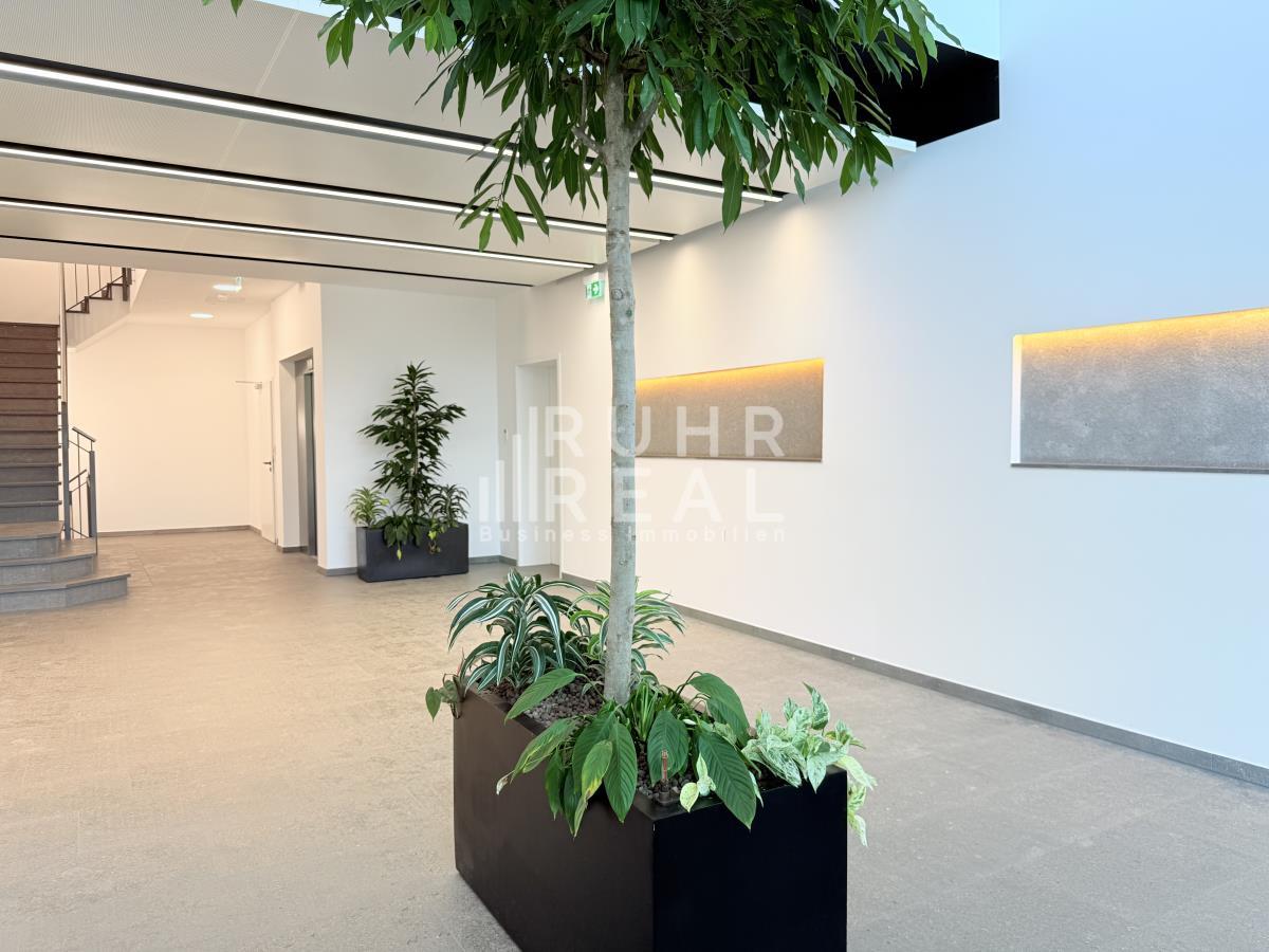 Eingangsbereich Eingangsbereich