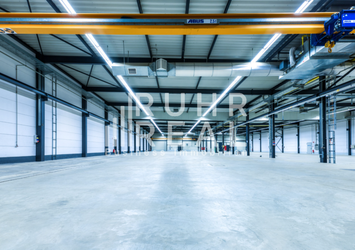 Hallenfläche Hallenfläche