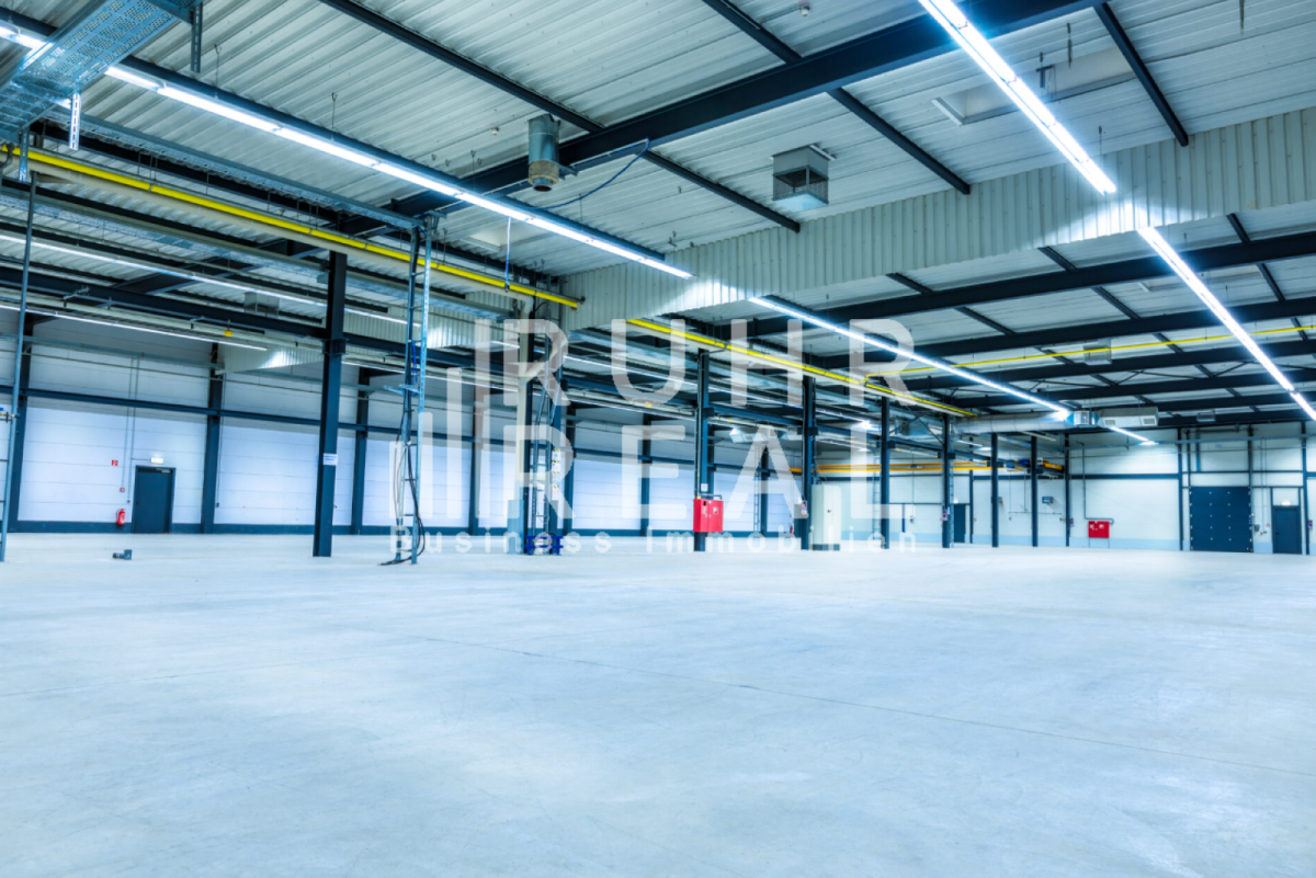 Hallenfläche Hallenfläche