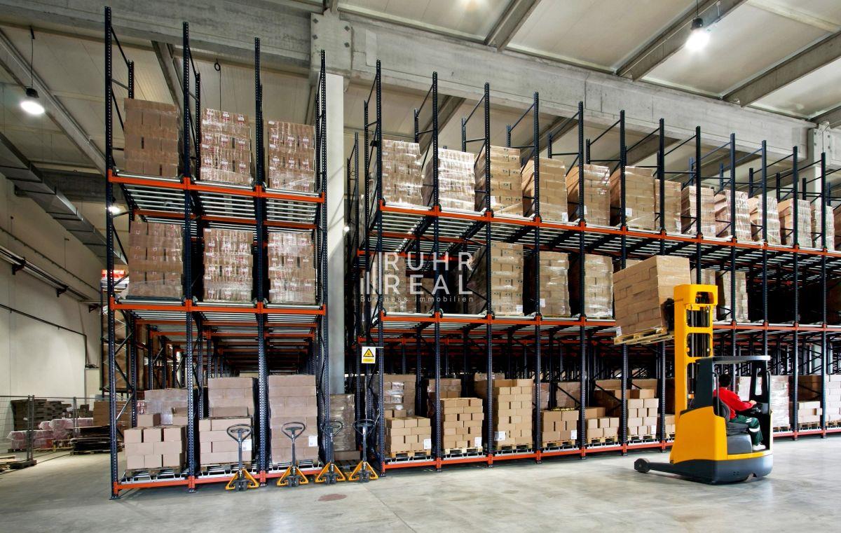 Hallenfläche Hallenfläche