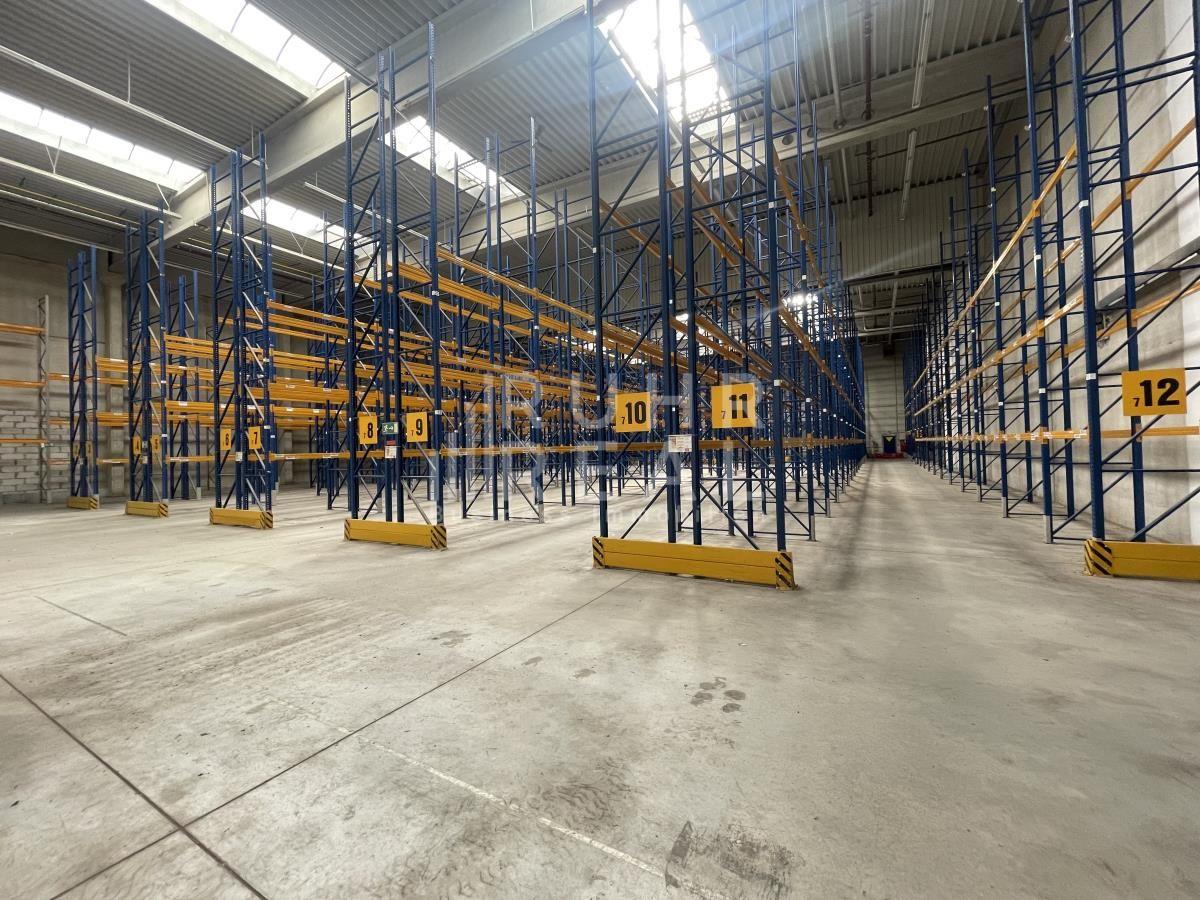 Hallenfläche Hallenfläche