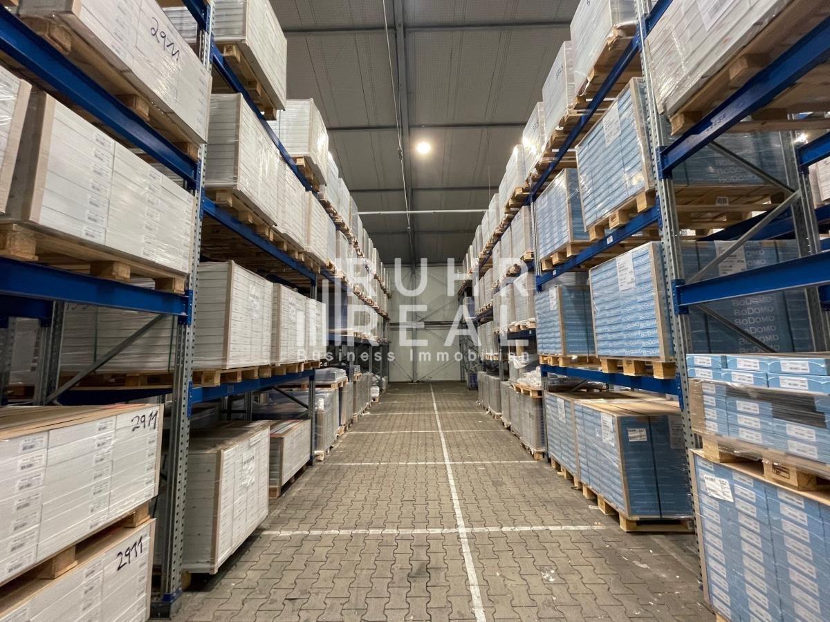 Hallenfläche Innenansicht 2