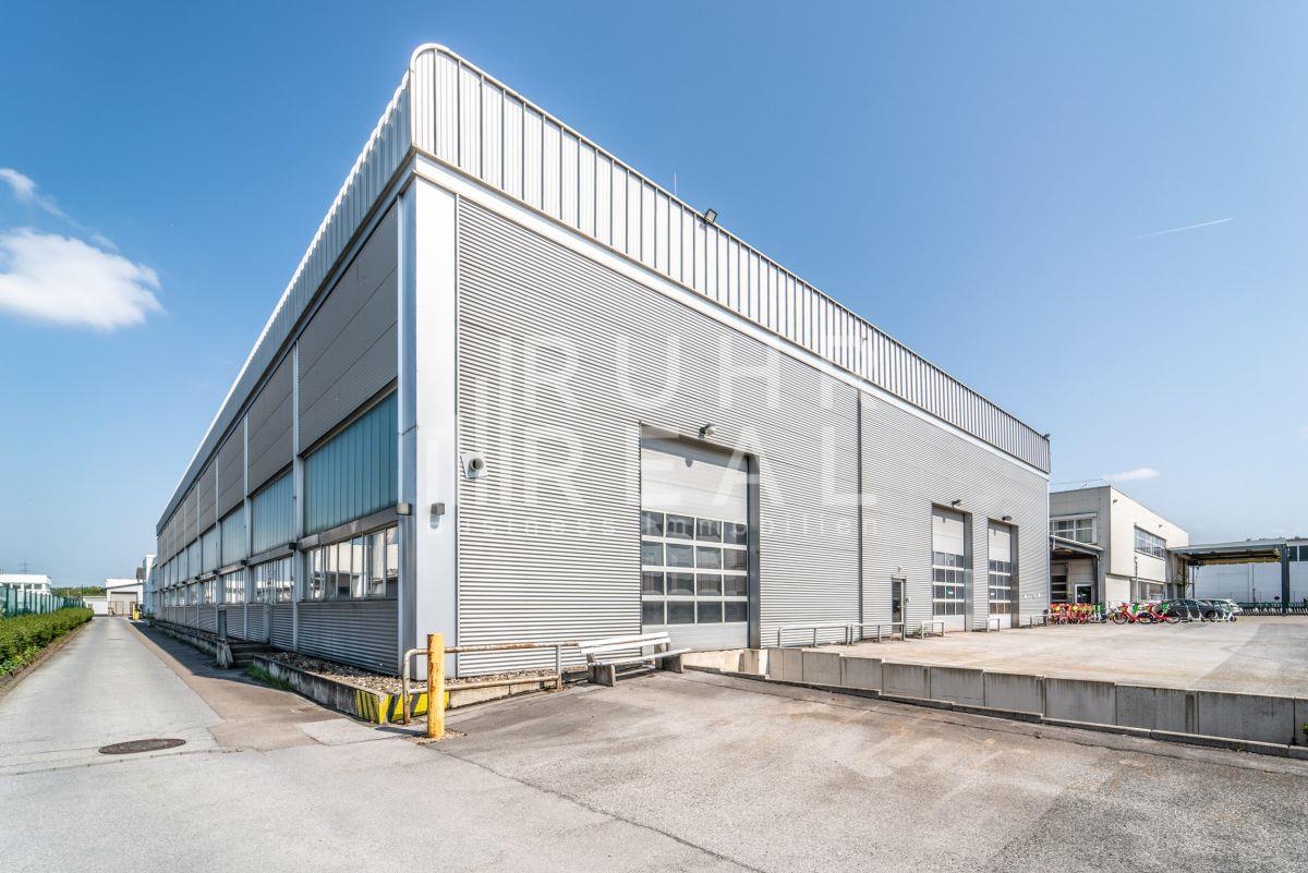 Hallenaufsicht Hallenaufsicht