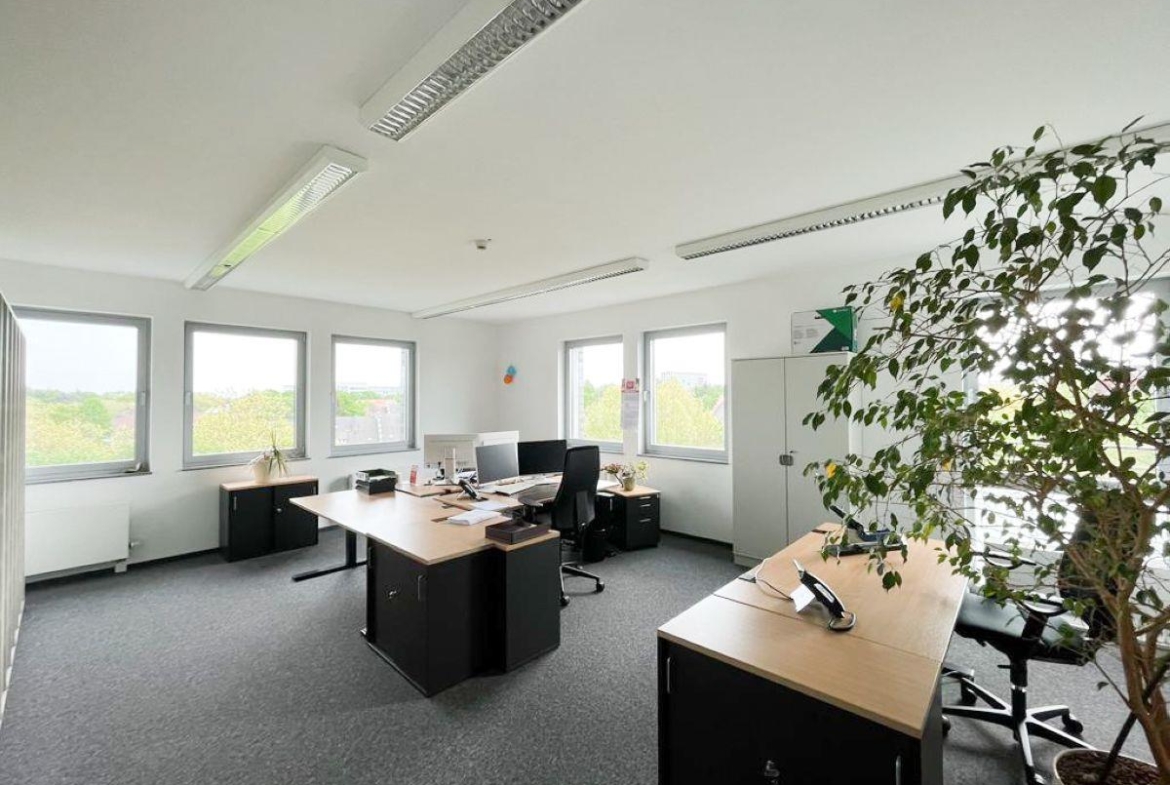 ee509b70-f528-478b-ac85-3477ea981376_B_ro