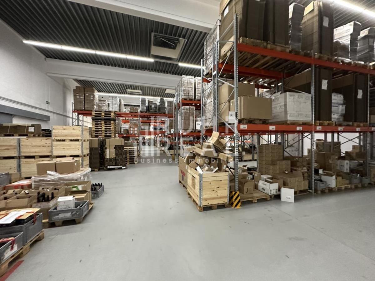 Hallenfläche Hallenfläche