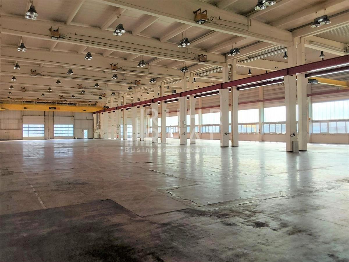 Hallenfläche Hallenfläche