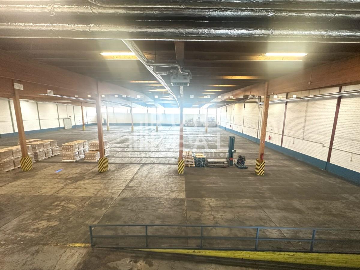 Innenansicht Hallenfläche Innenansicht Hallenfläche