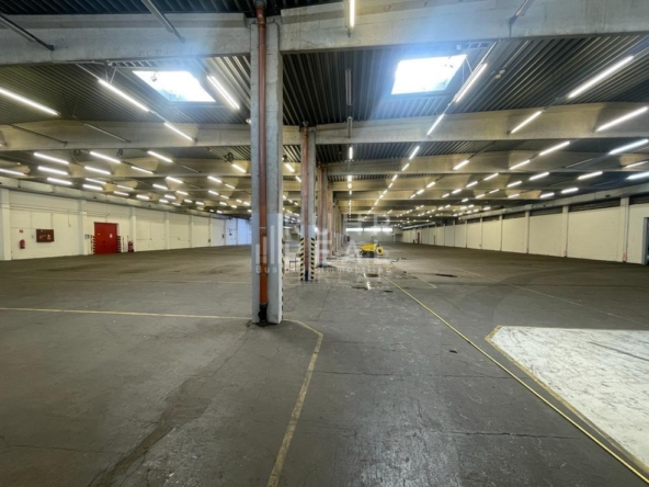 Innenansicht Hallenfläche