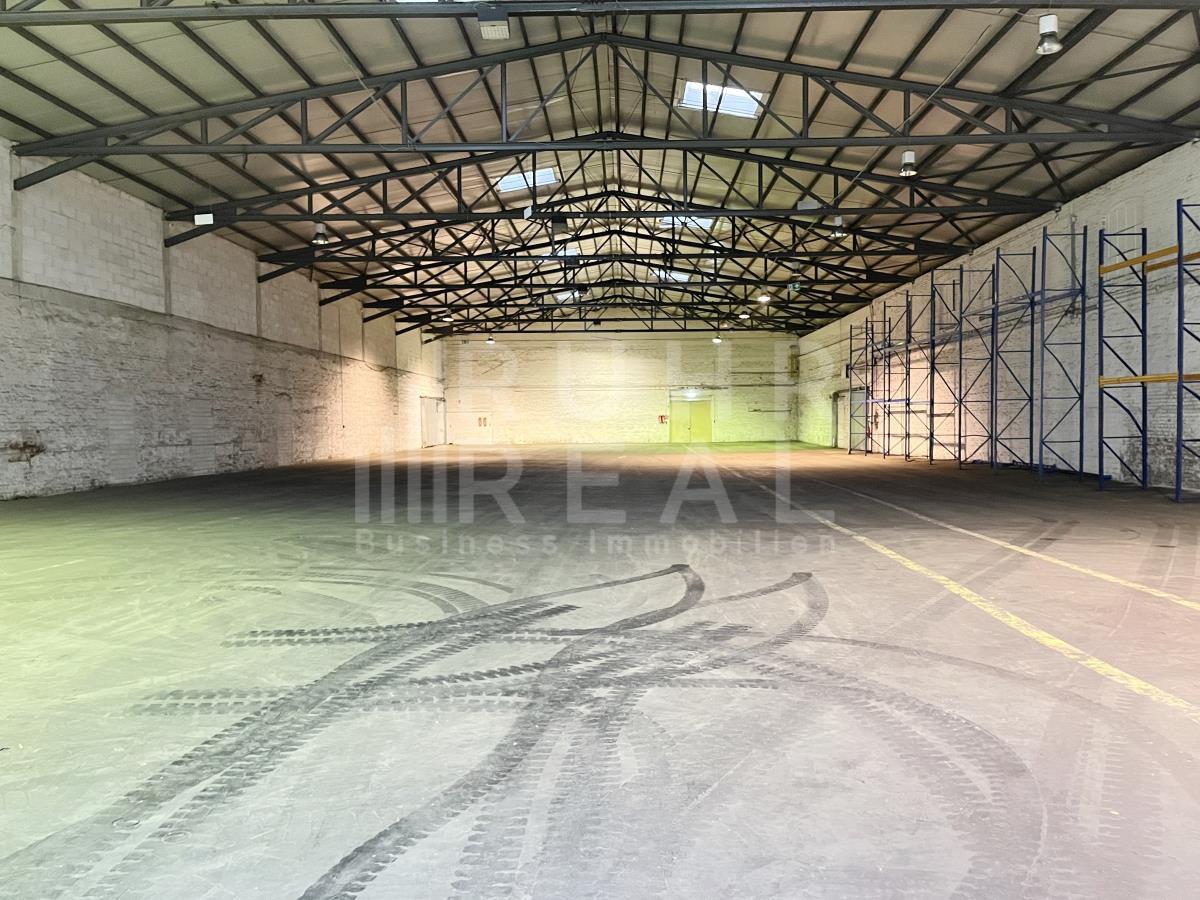 Hallenfläche Hallenfläche