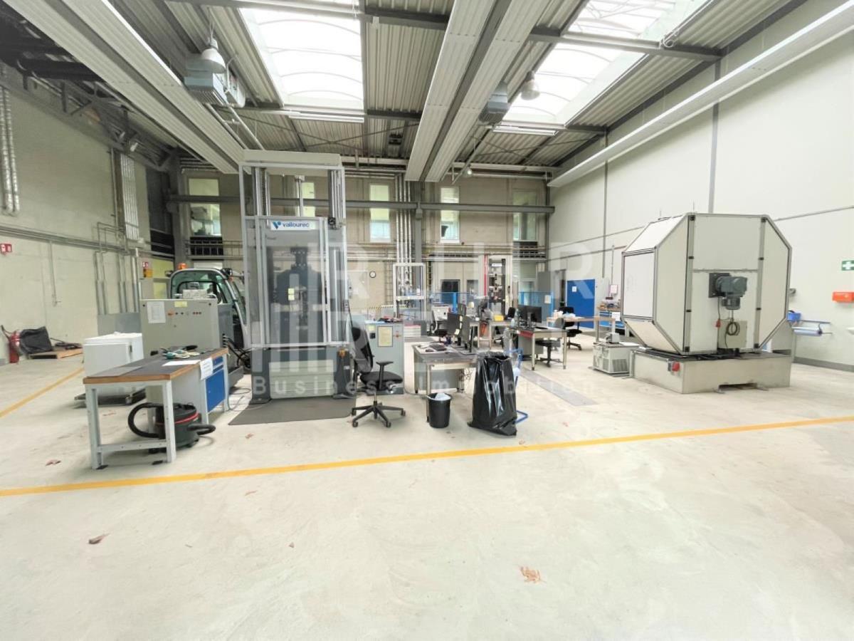 Hallenfläche Hallenfläche