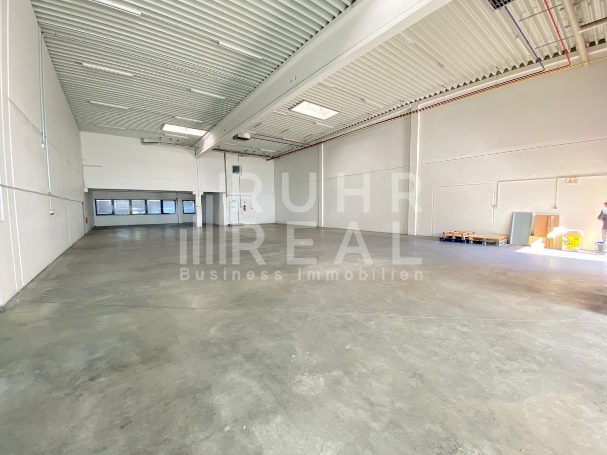 Halle Muster Halle Muster