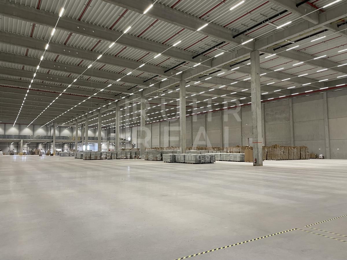 Musteransicht Musteransicht