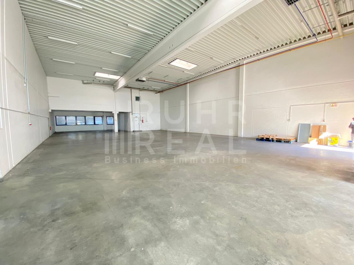 Halle beispiel Halle beispiel