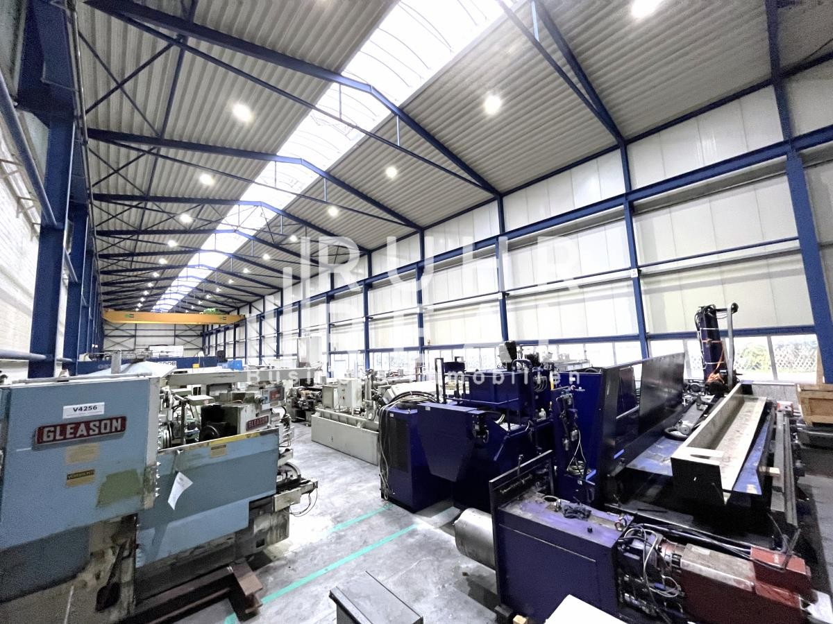 Halle Musteransicht Halle Musteransicht