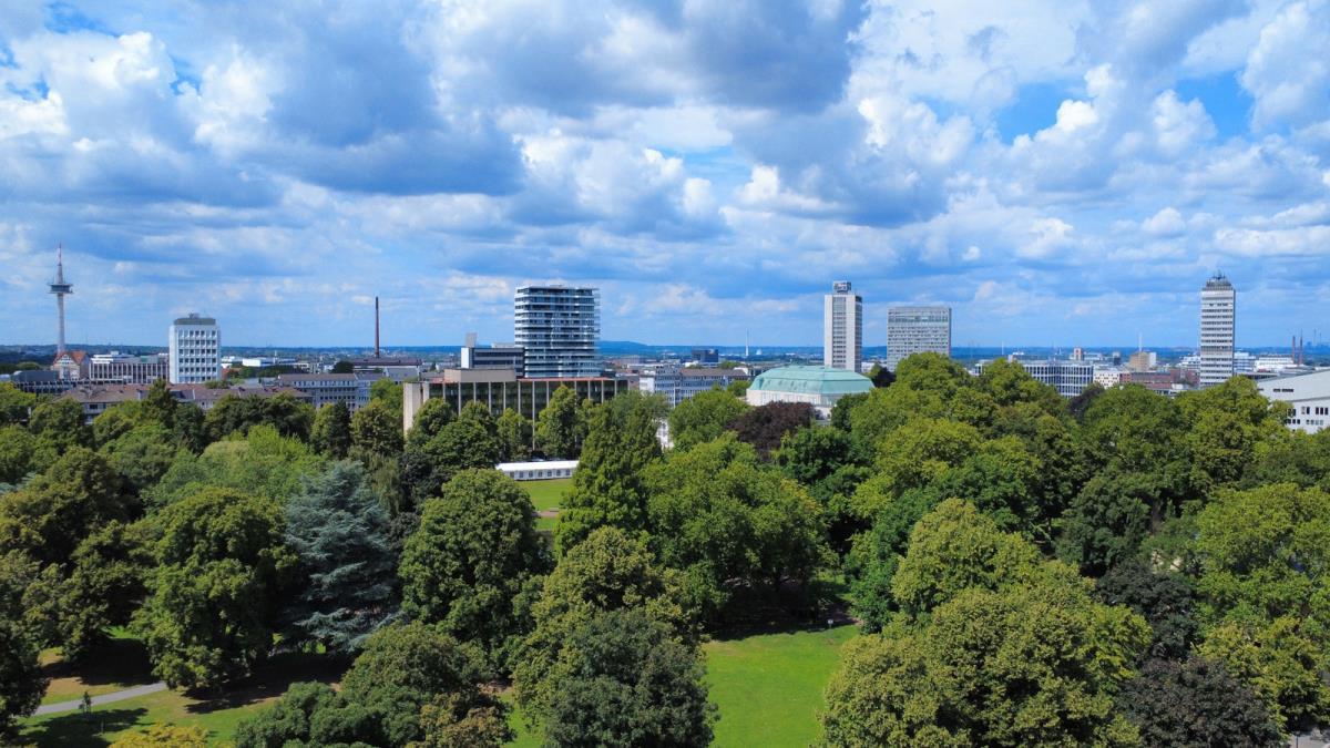 Stadtgarten Stadtgarten