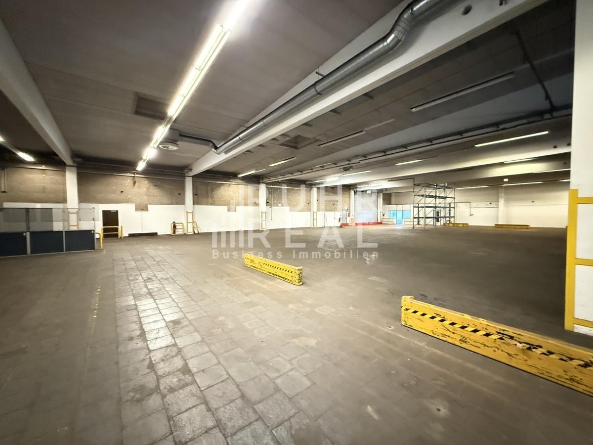 Hallenfläche Hallenfläche