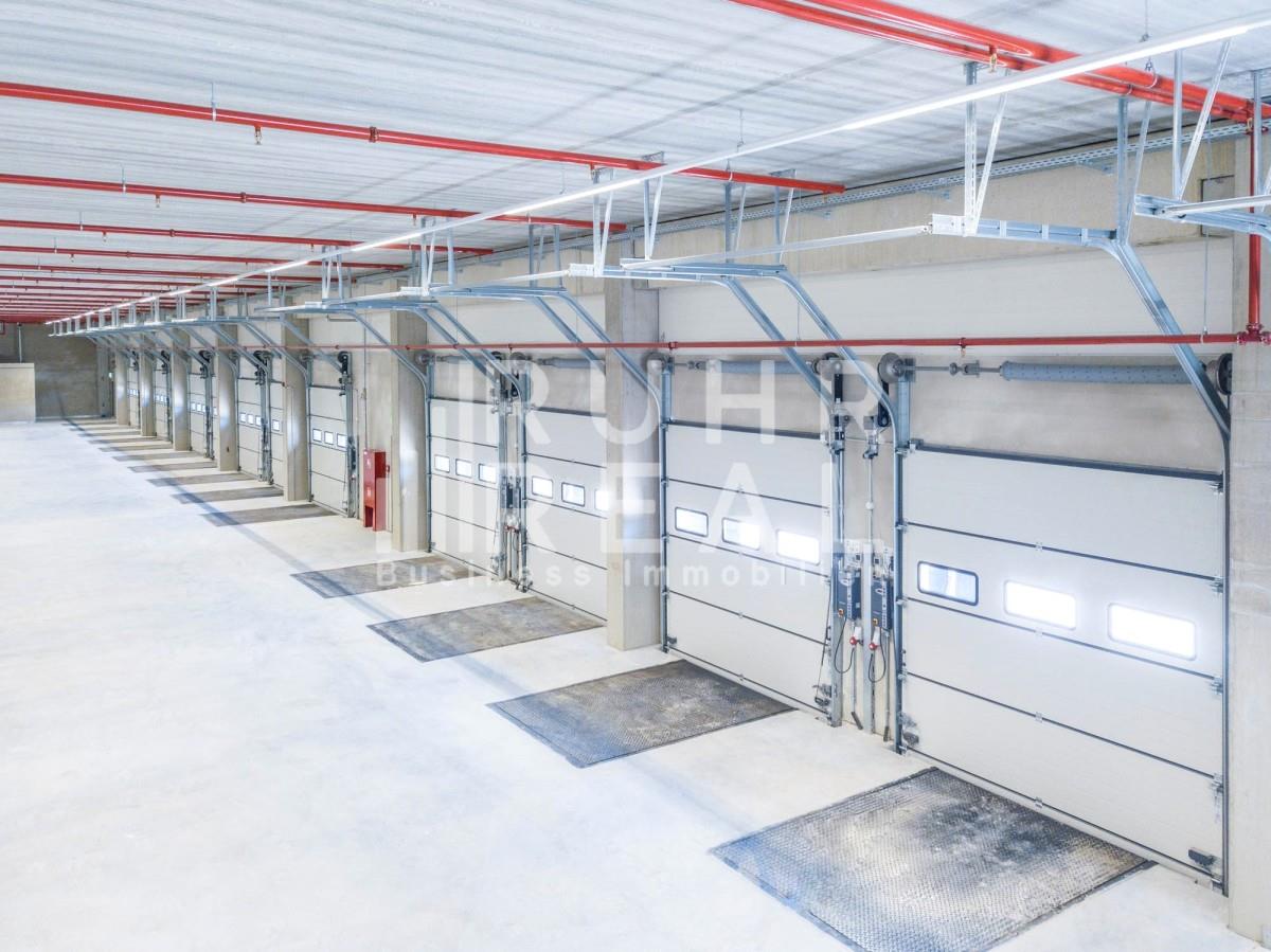 Beispielbild Beispielbild