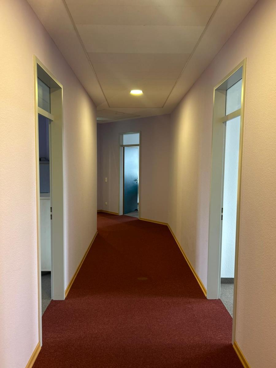 WhatsApp Image 2026-02-11 at 10.54.59 WhatsApp Image 2026-02-11 at 10.54.59