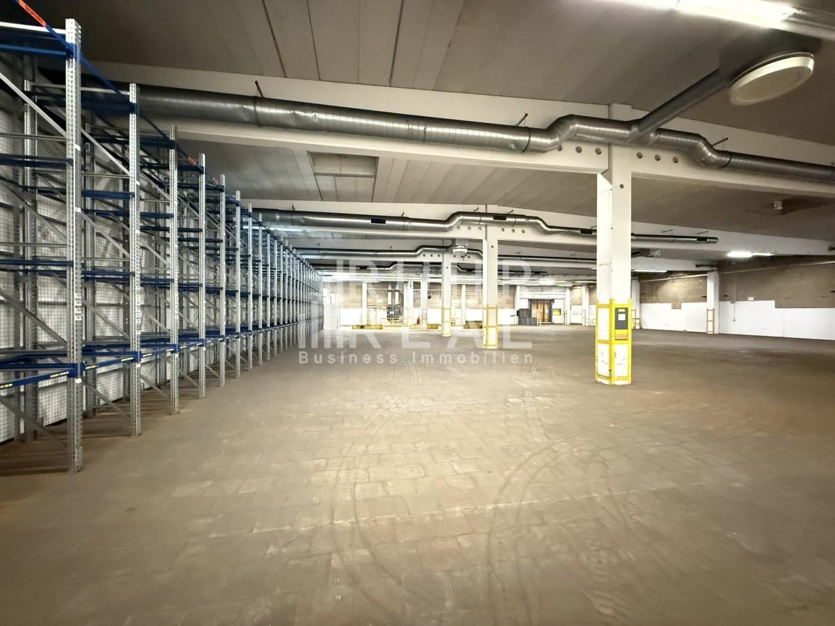 Hallenfläche Hallenfläche