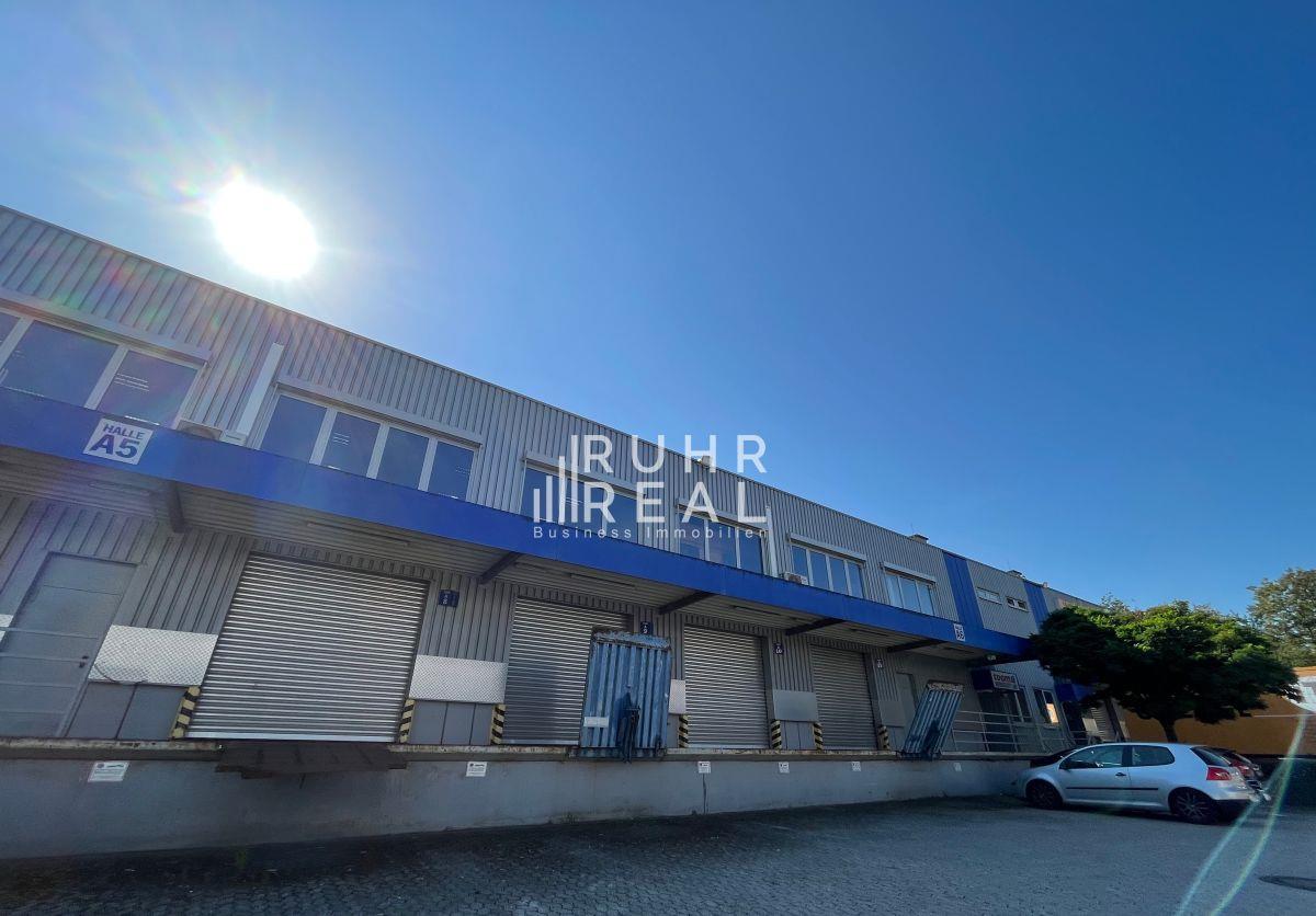 Hallenflächen Hallenflächen