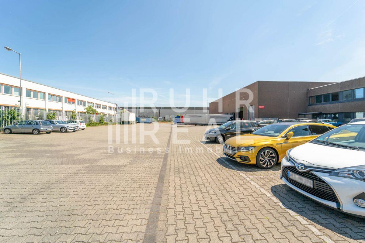 Freifläche Freifläche