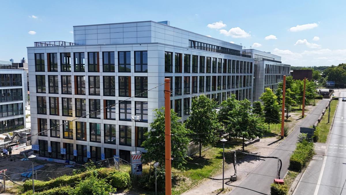 Vogelperspektive Vogelperspektive