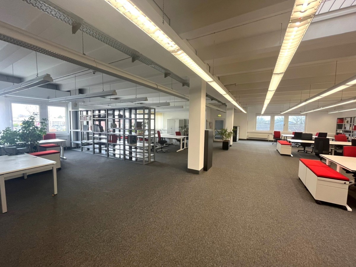 “Studio” "Studio"