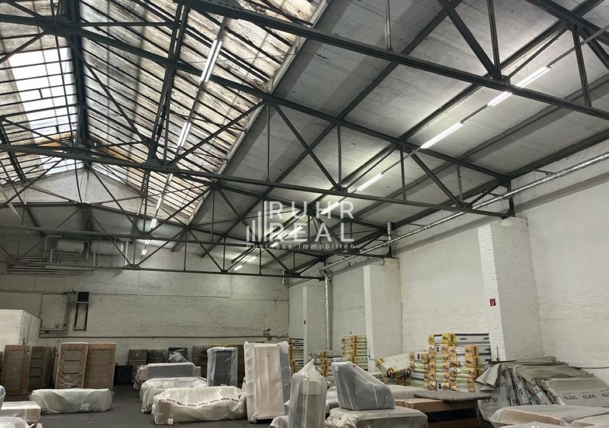 Hallenfläche Hallenfläche