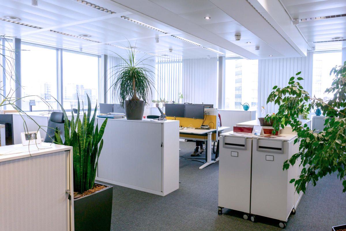 Innenansicht Innenansicht