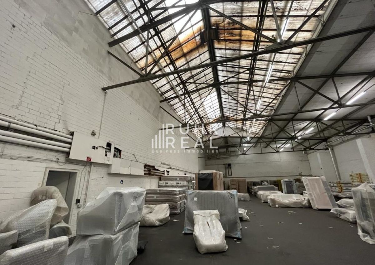 Hallenfläche Hallenfläche