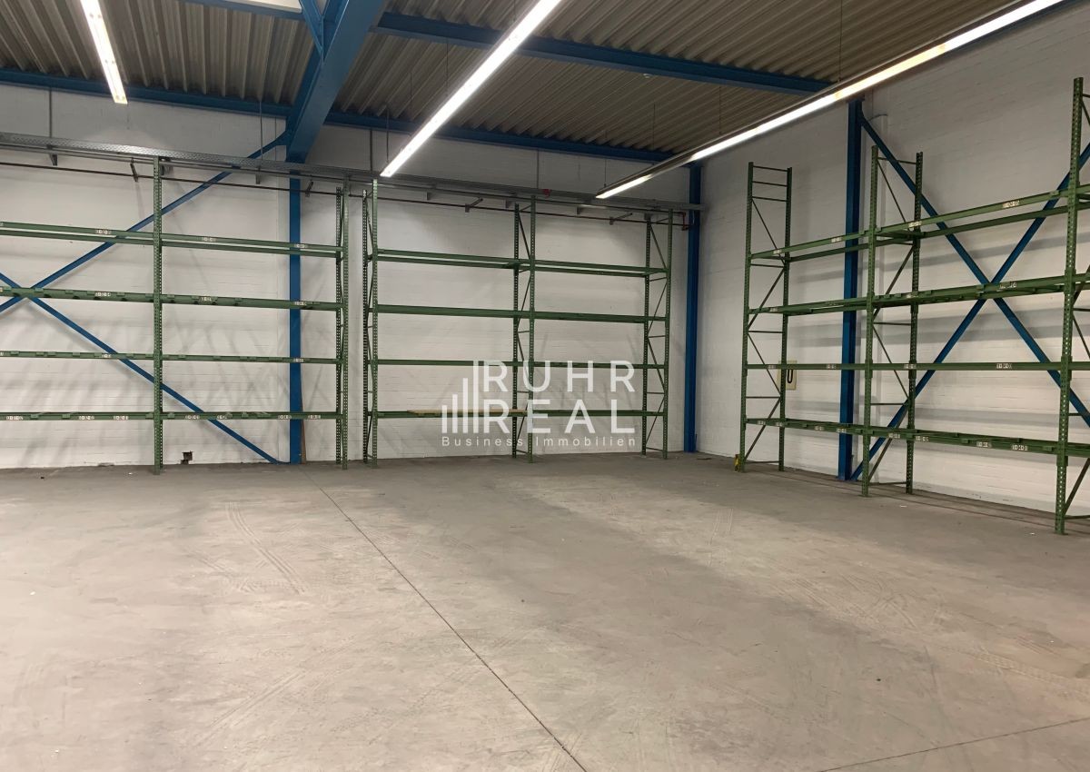 Hallenfläche Hallenfläche