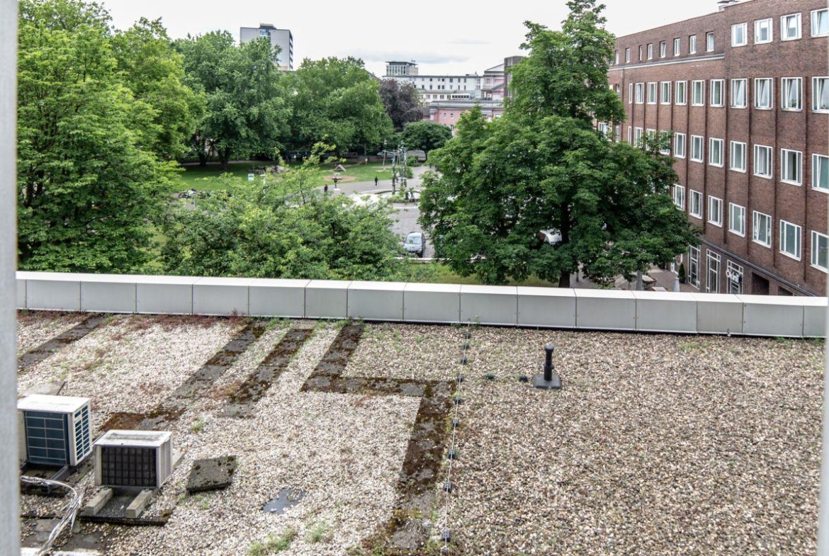 Blick ins Grüne