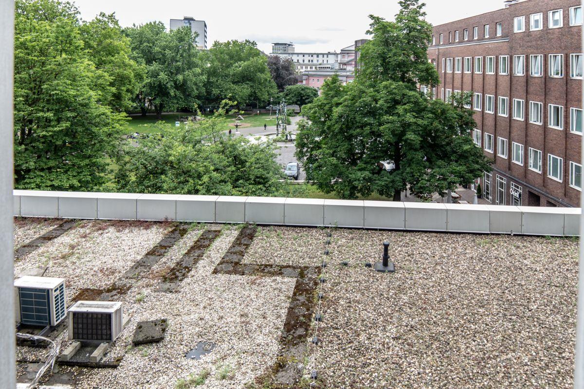 Blick ins Grüne Blick ins Grüne