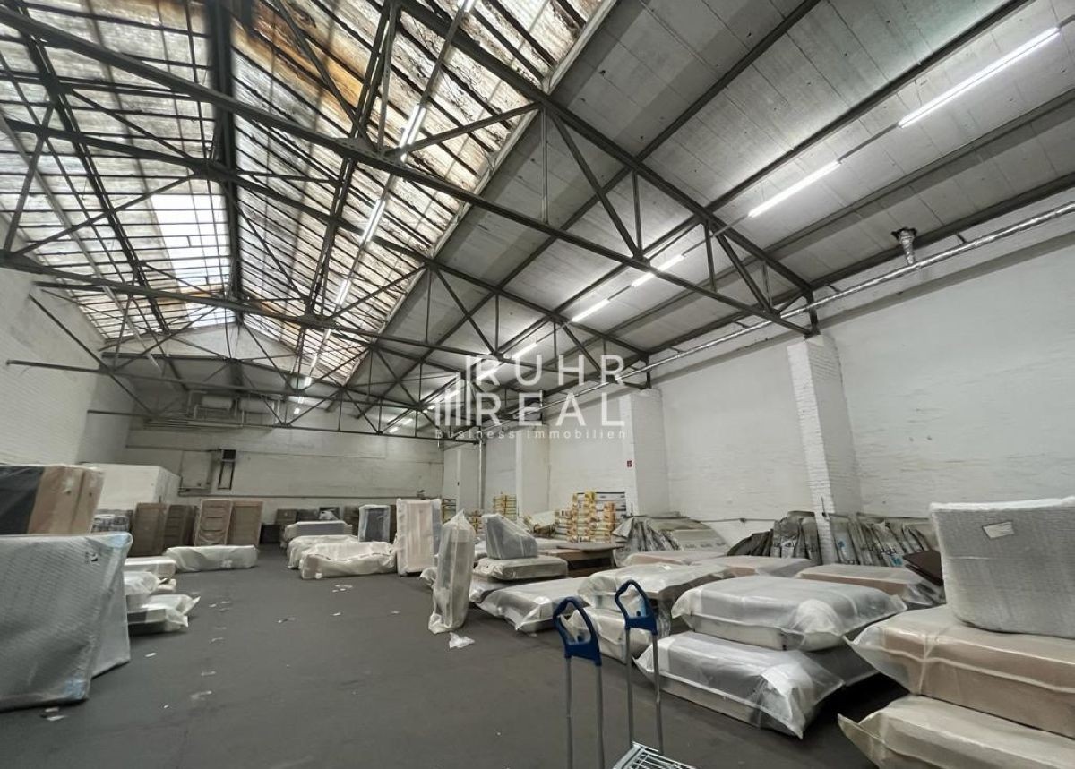 Hallenfläche Hallenfläche