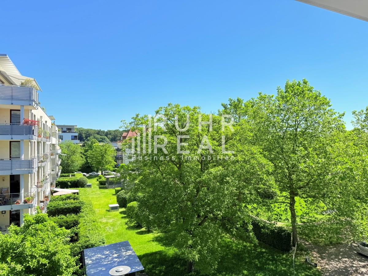 Blick aus dem Büro Blick aus dem Büro