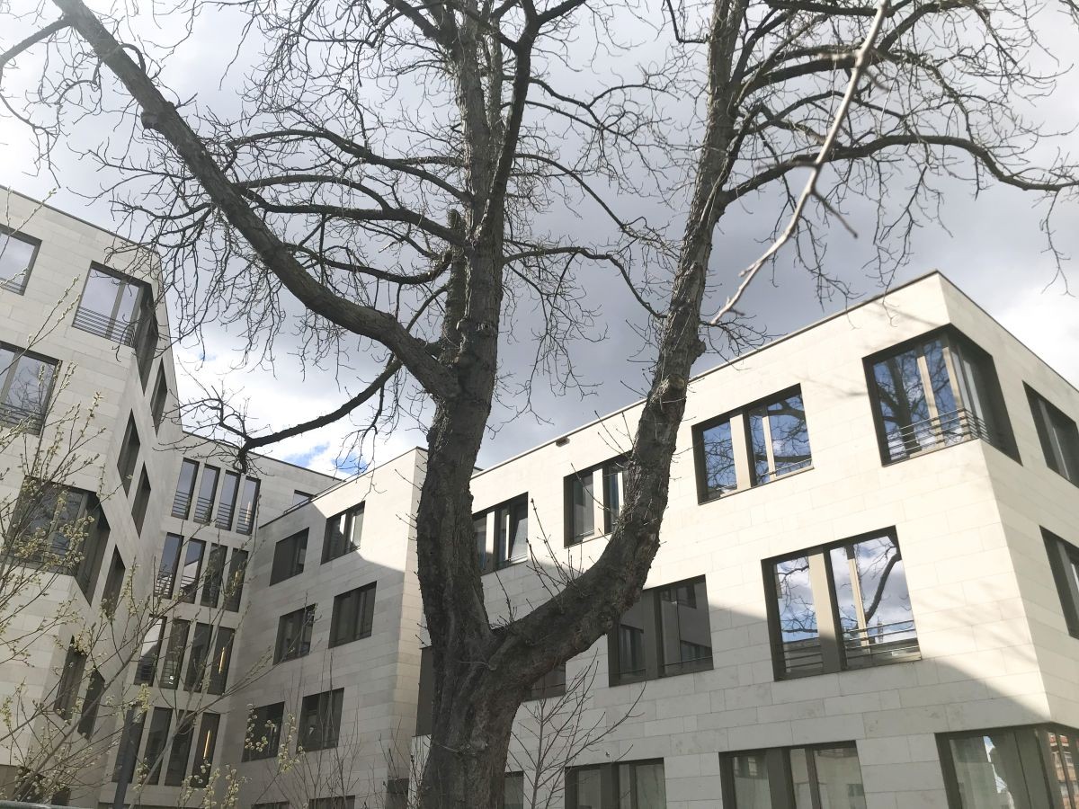 Fassade Fassade