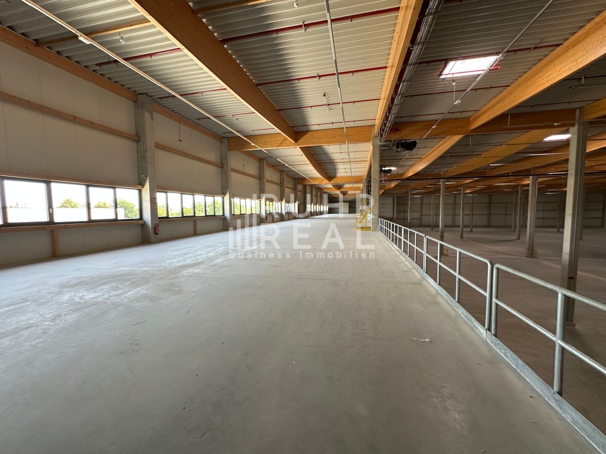 Mezzanine