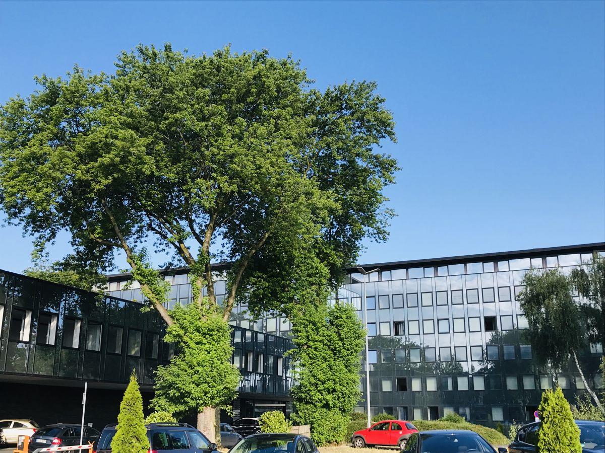 Außenansicht Außenansicht